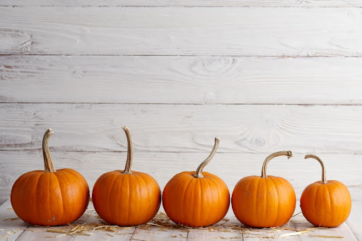 five pumpkins in a line with a white wooden wall behind them